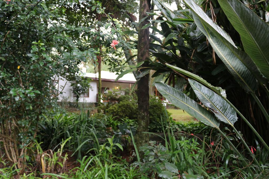 Softwaters Guesthouse Cottages Louis Trichardt Buitenkant foto